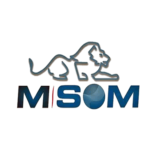 Msom – Locação de Equipamentos para Eventos LTDA