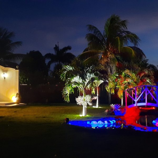 Msom - Locação de equipamentos para eventos- (84) 98181-8075