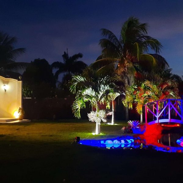 Msom - Locação de equipamentos para eventos- (84) 98181-8075