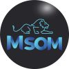 Msom - Locação de equipamentos para eventos-  (84) 98181-8075
